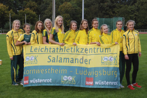 DSMM Team WJ U16 Württembergischer Vizemeister 2013